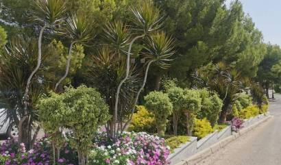 Sale - Apartment - Orihuela Costa