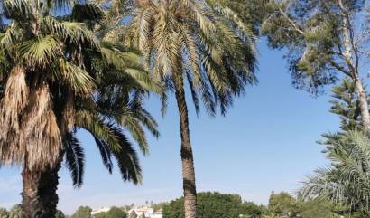 Sale - Apartment - Orihuela Costa