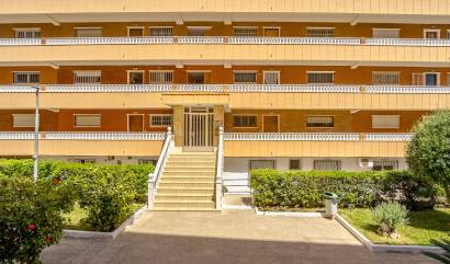 Sale - Apartment - Punta Prima