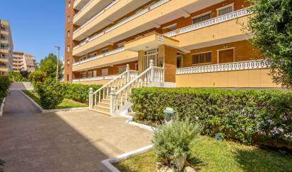 Sale - Apartment - Punta Prima