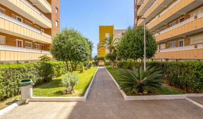 Sale - Apartment - Punta Prima