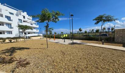 Sale - Apartment - Torre Pacheco - Santa Rosalía