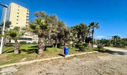 Sale - Apartment - Torrevieja - Cabo Cervera