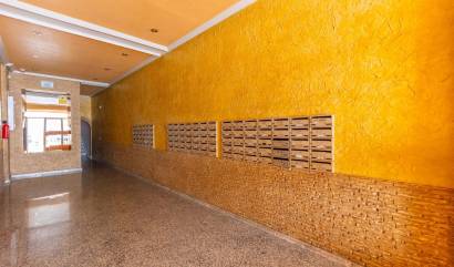 Sale - Apartment - Torrevieja - Estacion de autobuses