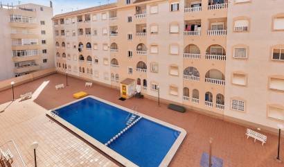 Sale - Apartment - Torrevieja - Estacion de autobuses