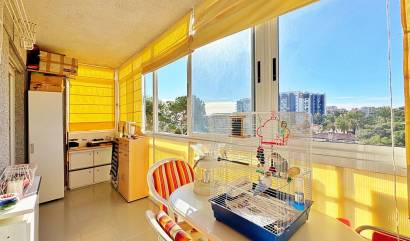 Sale - Apartment - Torrevieja - Rocio del mar