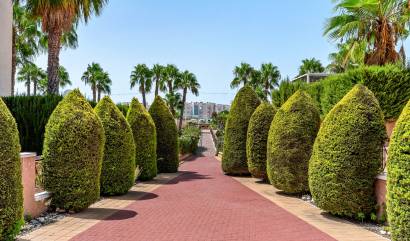 Sale - Apartments - Orihuela Costa - Playa Flamenca
