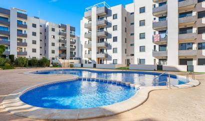 Sale - Apartments - San Miguel de Salinas - San Miguel