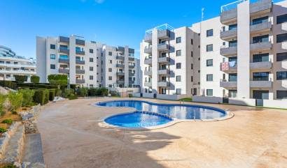 Sale - Apartments - San Miguel de Salinas - San Miguel