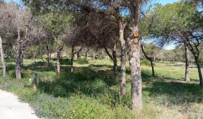 Sale - Bungalow - Guardamar del Segura - Urbanizaciones