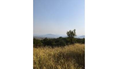 Sale - Commercial - Casas del Senor