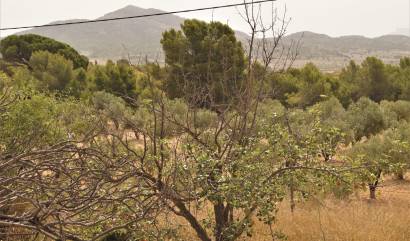 Sale - Commercial - Salinas