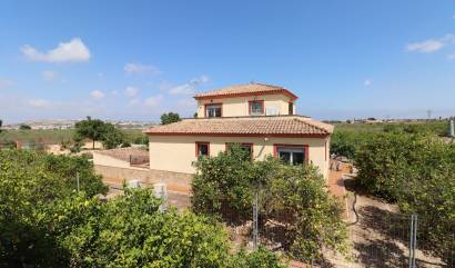 Sale - Country House - Algorfa