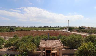 Sale - Country House - Algorfa