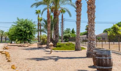 Sale - Country House - Catral