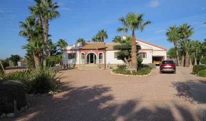 Sale - Country House - Daya Vieja