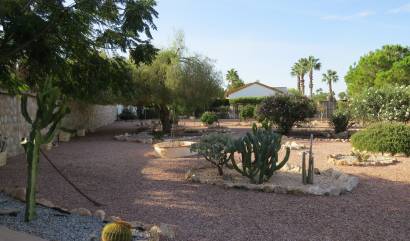 Sale - Country House - Daya Vieja