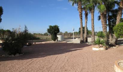 Sale - Country House - Daya Vieja