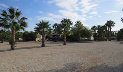 Sale - Country House - Daya Vieja