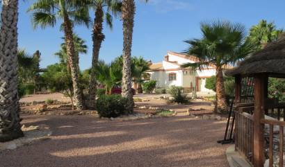 Sale - Country House - Daya Vieja