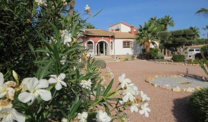 Sale - Country House - Daya Vieja