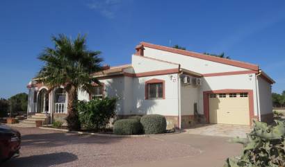 Sale - Country House - Daya Vieja