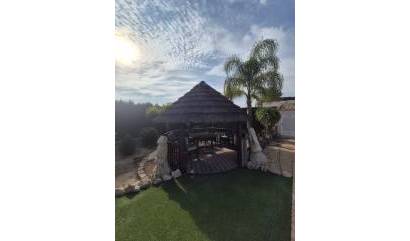 Sale - Country House - Daya Vieja