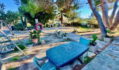 Sale - Country House - Guardamar del Segura