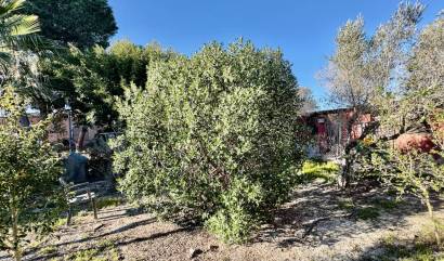 Sale - Country House - Guardamar del Segura