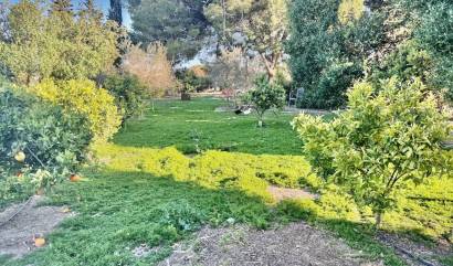 Sale - Country House - Guardamar del Segura