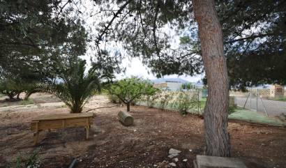 Sale - Country House - Jumilla