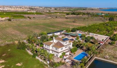 Sale - Country House - Los Montesinos