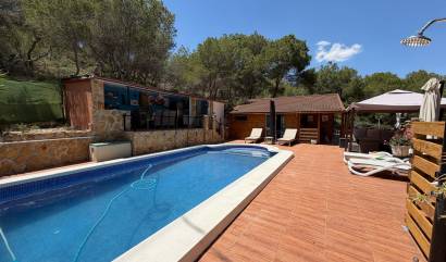 Sale - Country House - Orihuela - Torremendo