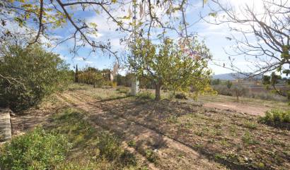 Sale - Country House - Pinoso