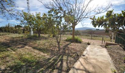 Sale - Country House - Pinoso