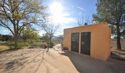 Sale - Country House - Pinoso