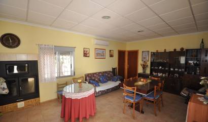 Sale - Country House - Pinoso