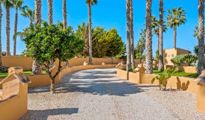 Sale - Country House - Rafal