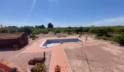 Sale - Country House - San Miguel de Salinas