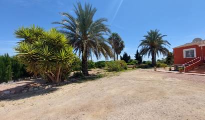 Sale - Country House - San Miguel de Salinas