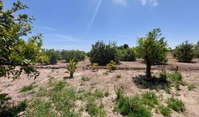 Sale - Country House - San Miguel de Salinas