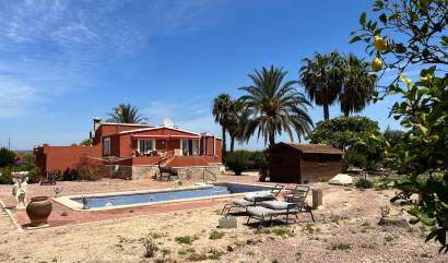 Sale - Country House - San Miguel de Salinas