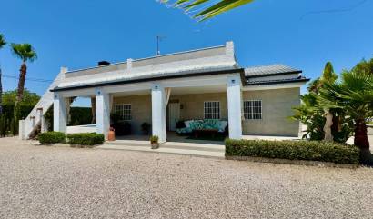 Sale - Country House - Torrellano
