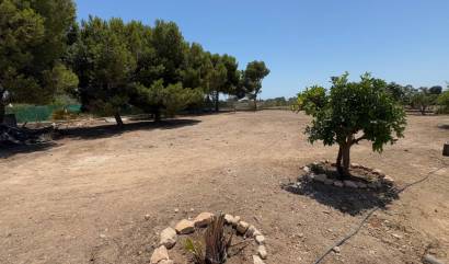 Sale - Country House - Torrellano