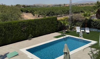 Sale - Country House - Torrellano