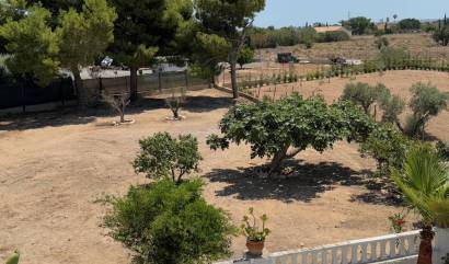 Sale - Country House - Torrellano