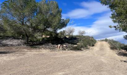 Sale - Country House - Torremendo