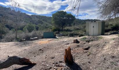 Sale - Country House - Torremendo