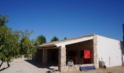 Sale - Country House - Yecla