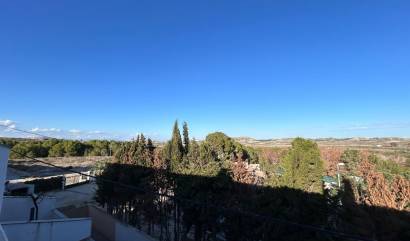 Sale - House - Torremendo